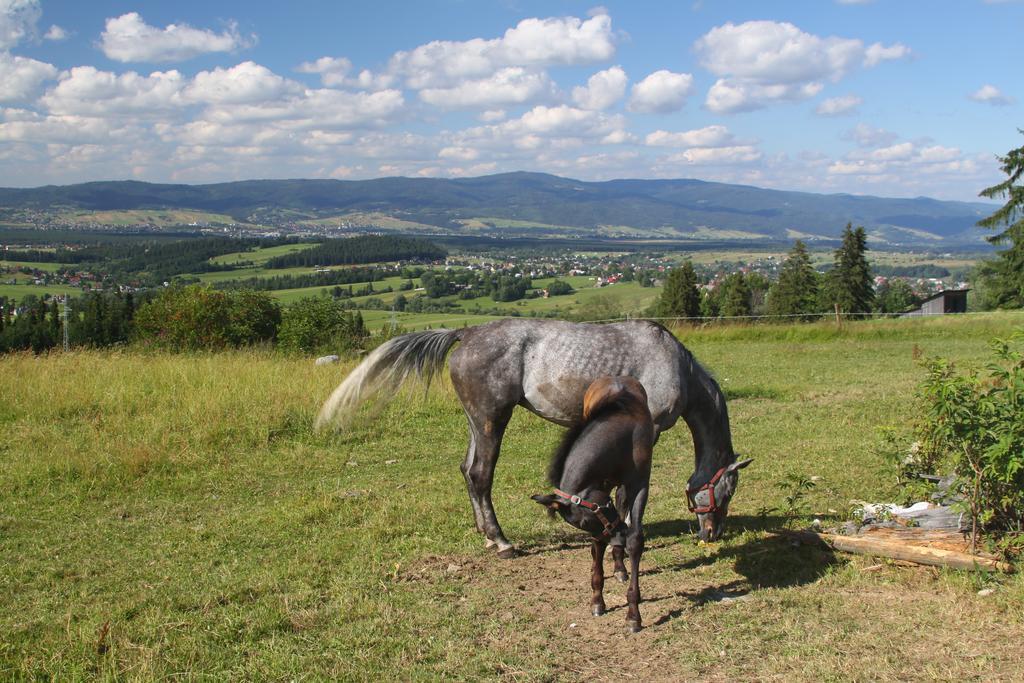 Appartamento U Repy Bańska Esterno foto