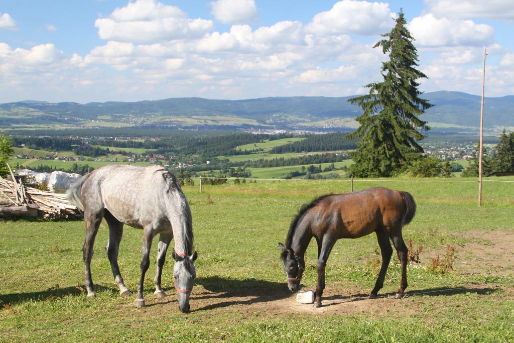 Appartamento U Repy Bańska Esterno foto